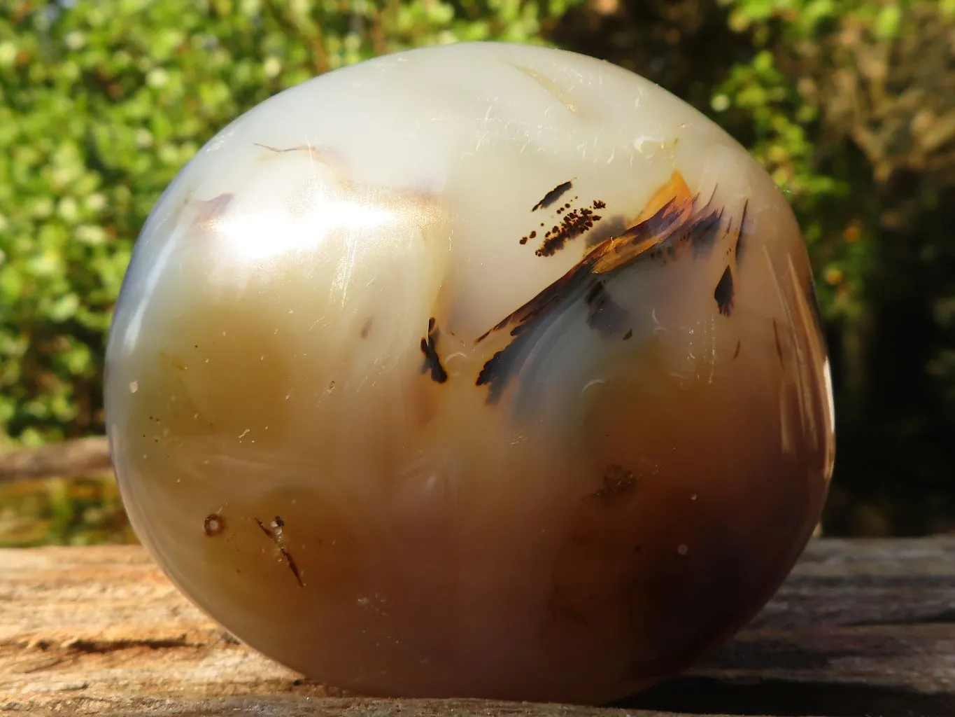 Polished Stunning Banded Agate Palm Stones  x 12 From Madagascar