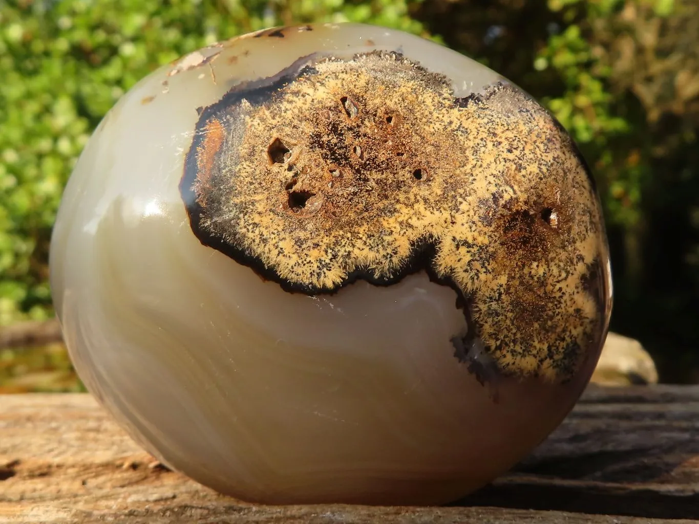 Polished Stunning Banded Agate Palm Stones  x 12 From Madagascar