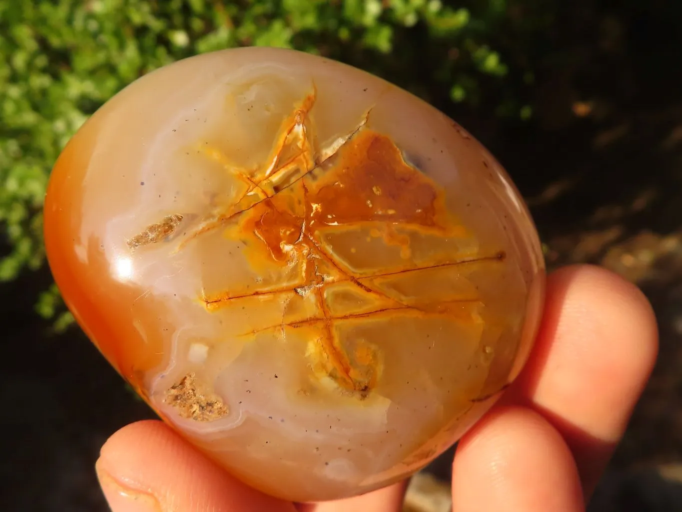 Polished Stunning Banded Agate Palm Stones  x 12 From Madagascar