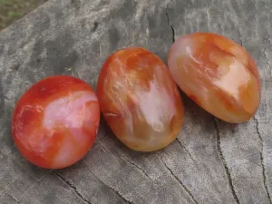 Polished Stunning Carnelian Agate Palm Stones  x 20 From Madagascar